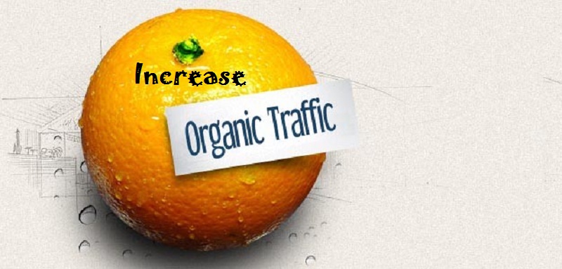 organic traffic generation