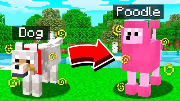 How to stop a Minecraft dog attacking someone